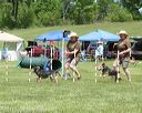 20130518-neatmc-0096