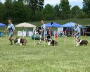 20130518-neatmc-0101