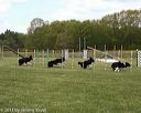 20130518-neatmc-0087