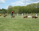 20130518-neatmc-0093