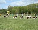 20130518-neatmc-0094