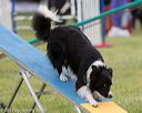 20130519-neat-0021