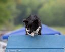 20130519-neat-0024