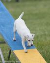 20130519-neat-0072