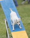 20130519-neat-0074