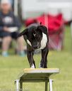 20130519-neat-0050