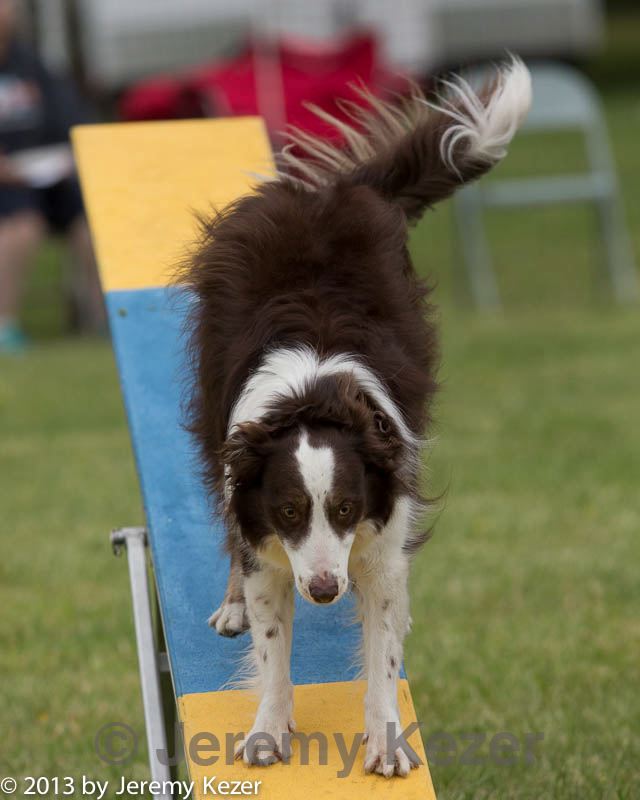 20130519-neat-0044.jpg