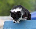 20130519-neat-0032