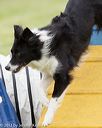 20130519-neat-0034