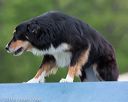 20130519-neat-0040