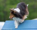 20130519-neat-0113