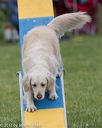 20130519-neat-0089