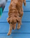 20130519-neat-0095