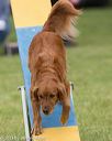 20130519-neat-0097