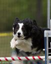 20130519-neat-0642