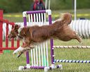 20130519-neat-0775