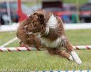 20130519-neat-0777