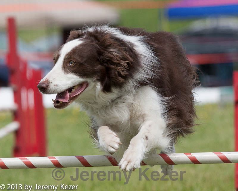 20130519-neat-0794.jpg