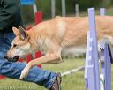 20130519-neat-0742