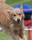 20130519-neat-0758