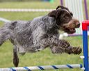 20130519-neat-0765