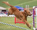 20130519-neat-0770