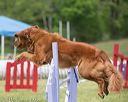 20130519-neat-0771