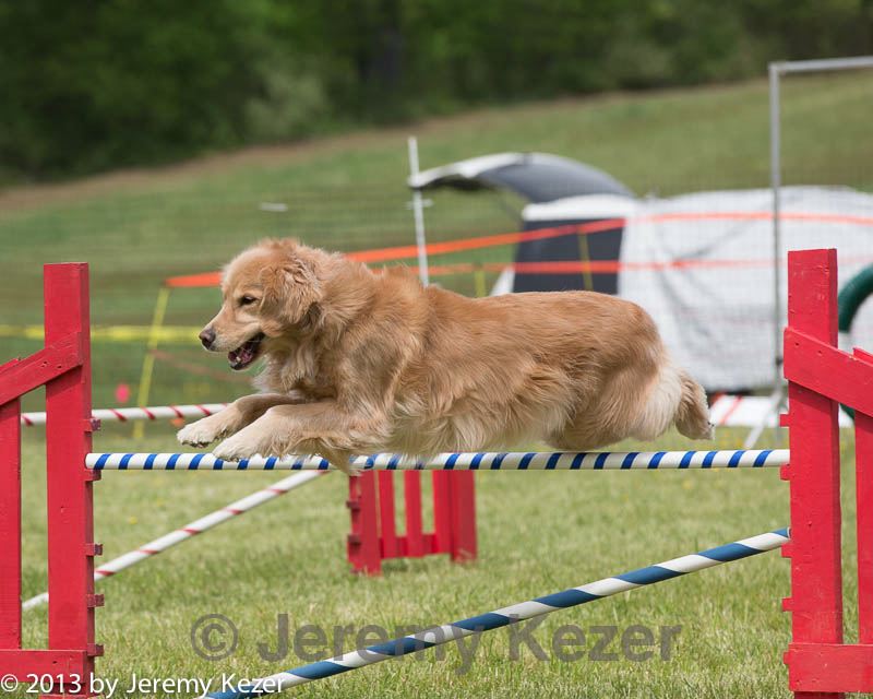 20130519-neat-0759.jpg