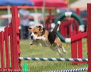 20130519-neat-0697