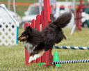 20130519-neat-0707