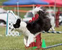 20130519-neat-0692