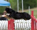 20130519-neat-0672