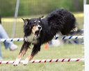 20130519-neat-0676
