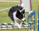 20130519-neat-0731