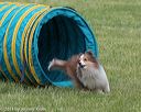 20130519-neat-0243