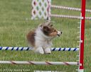 20130519-neat-0245