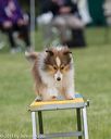 20130519-neat-0248