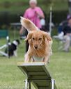 20130519-neat-0162