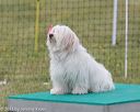 20130519-neat-0465