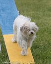 20130519-neat-0470
