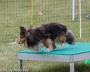 20130519-neat-0475