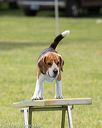 20130519-neat-0443