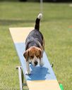 20130519-neat-0444
