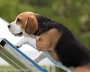 20130519-neat-0446
