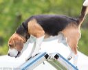 20130519-neat-0448