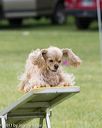 20130519-neat-0450