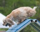 20130519-neat-0454