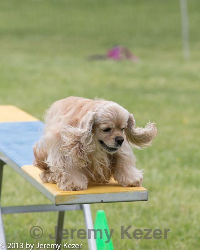 20130519-neat-0451.jpg