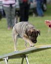 20130519-neat-0413