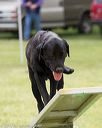 20130519-neat-0339